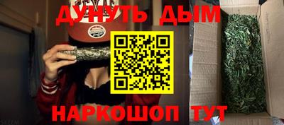 дмт Гатчина